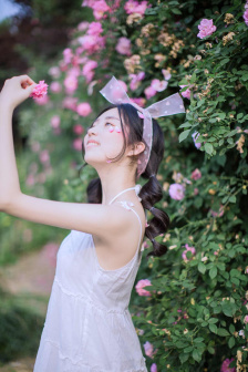 成龙历险